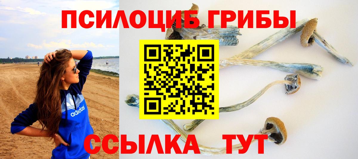 Сунжа  Псилоцибиновые грибы GOLDEN TEACHER  Псилоцибиновые грибы прущие грибы  Вход с VPN 