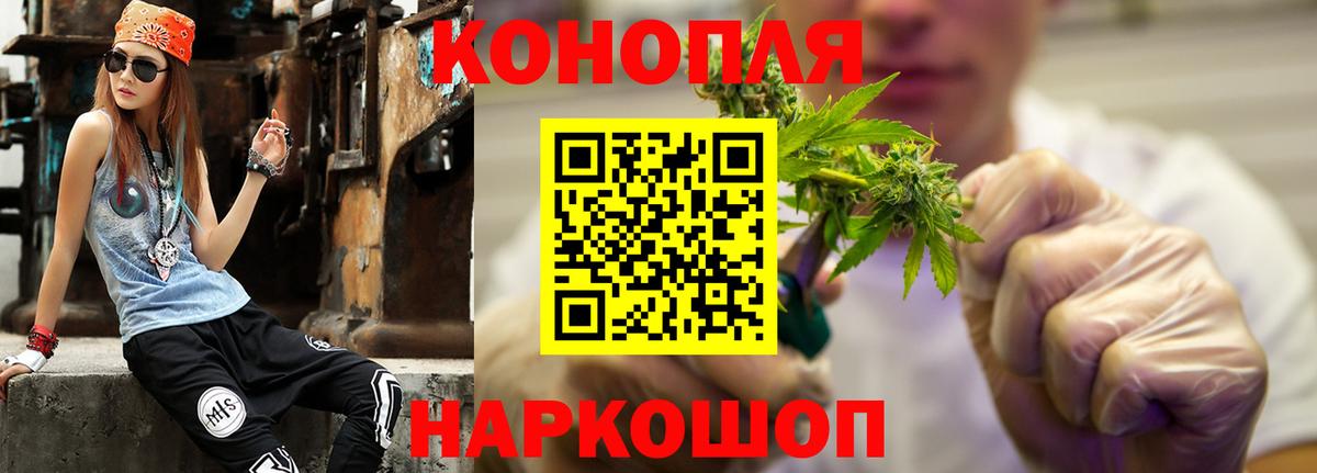 Бошки Шишки планчик  Вход с VPN  Марихуана ГИДРОПОН  Марихуана семена  Сунжа  МАРИХУАНА White Widow 